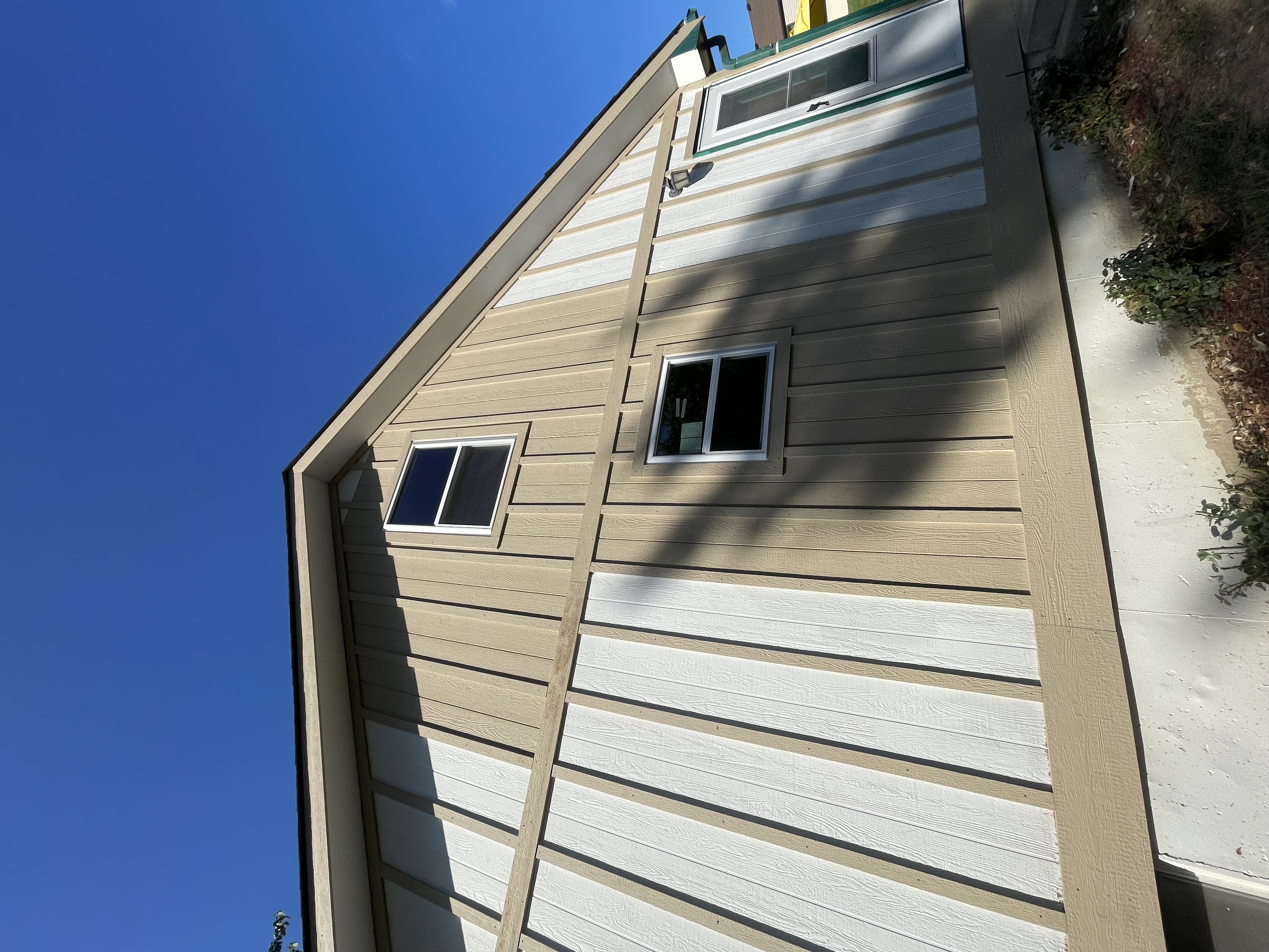 Wood Rot Repair